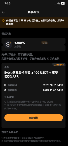 image-20251007215330491